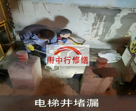 陕西星雨华府电梯井堵漏案例